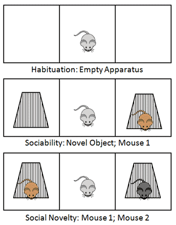 3 chamber example