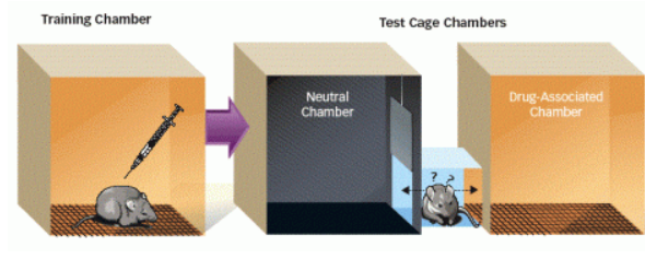 Conditioned Place Preference chamber